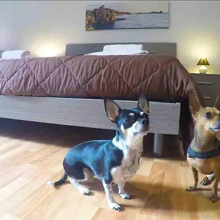 La Casetta Bed and Breakfast