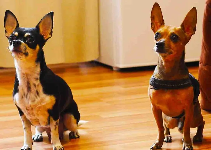 Nocleg ze śniadaniem La Casetta