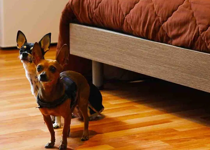 La Casetta Nocleg ze śniadaniem Palermo